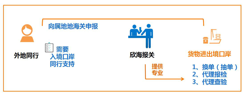 如何轻松办理进出口权?选购代办服务的指南
